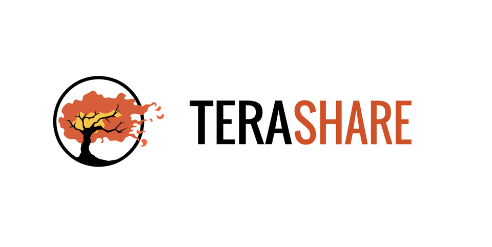 TeraShare Logo