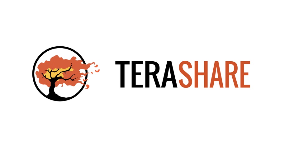 TeraShare File Sharing Website in Place of Files Over Miles